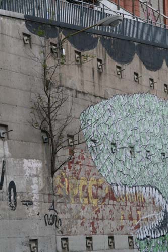 shark_graffiti shark_graffiti